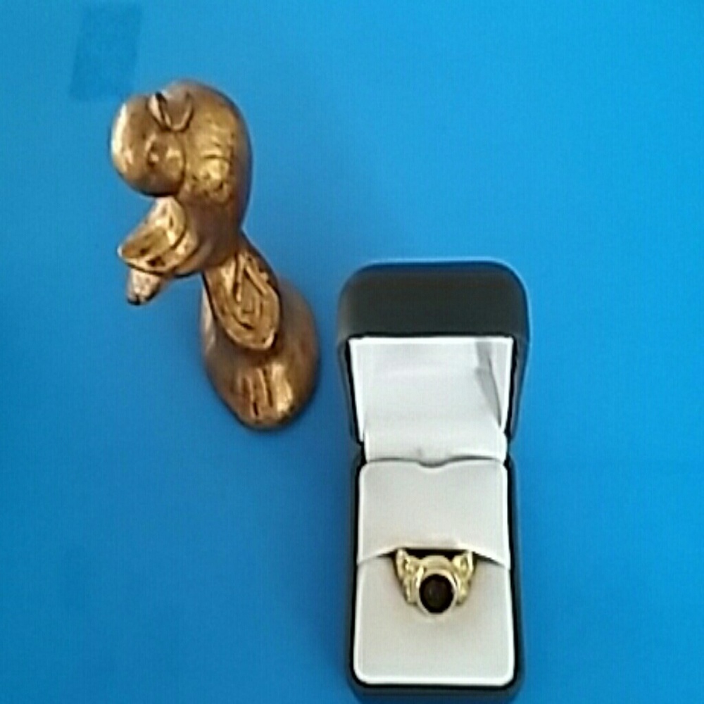 Goldtone costume ring.